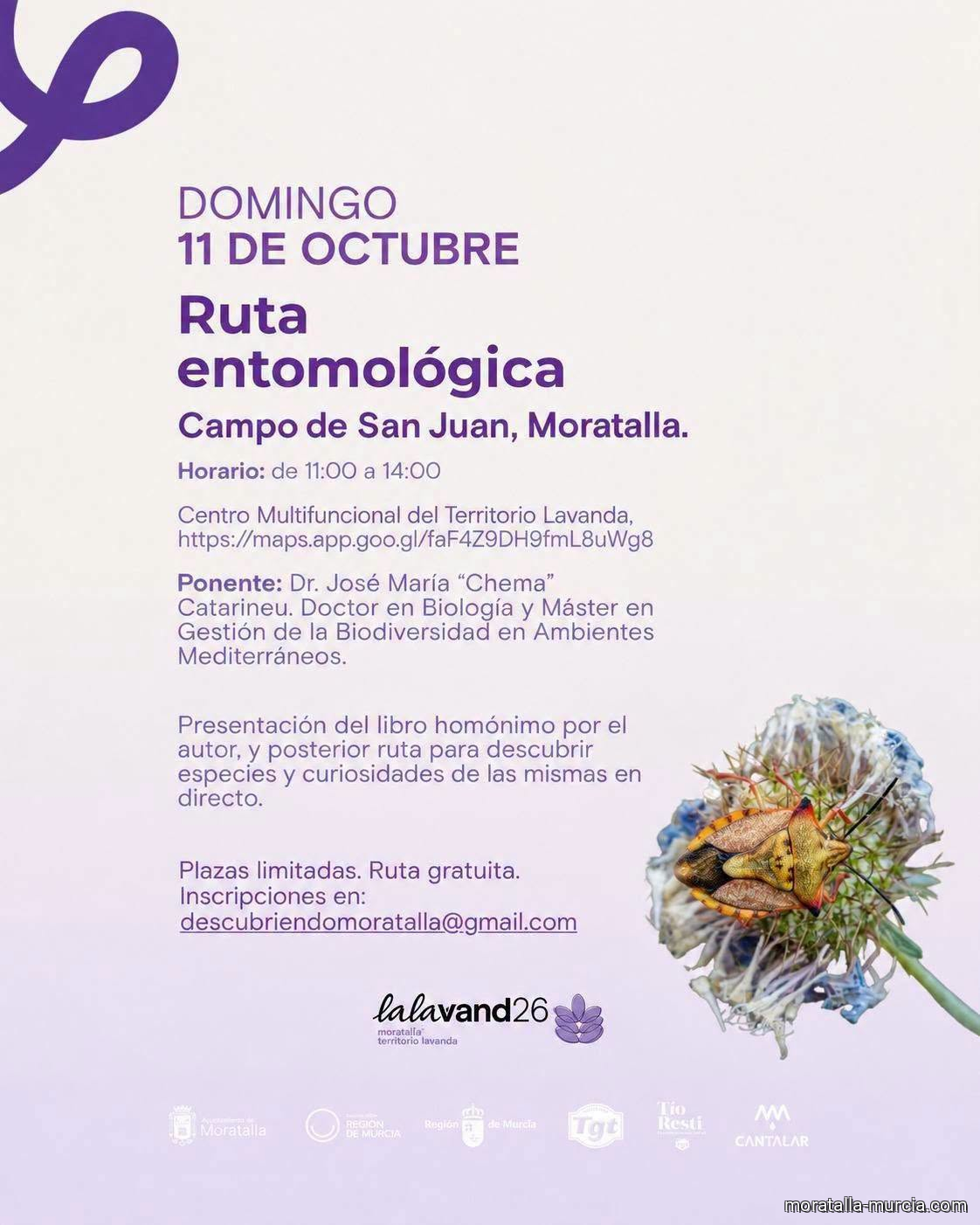 Ruta entomológica, VIAJE AL MUNDO DE LOS INSECTOS